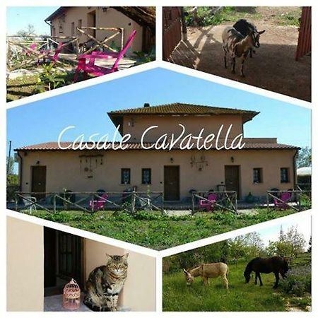 塞尔莫内塔Casale Cavatella住宿加早餐旅馆 外观 照片