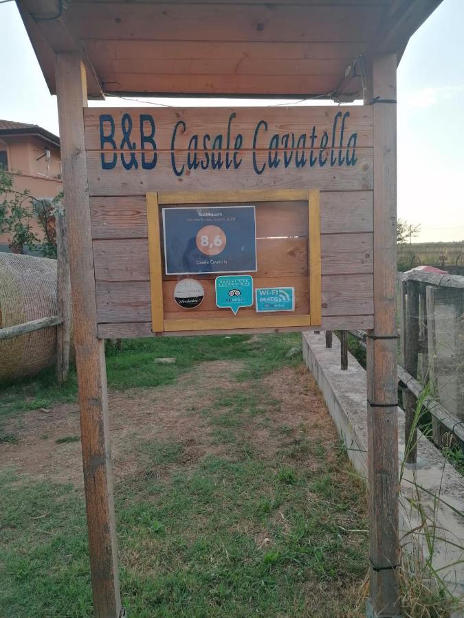 塞尔莫内塔Casale Cavatella住宿加早餐旅馆 外观 照片